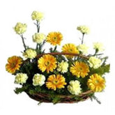 carnations-flowers-gerberas